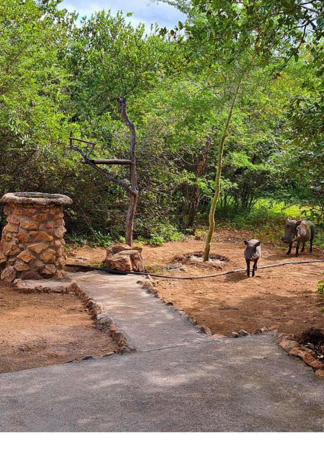 Holiday home Lion King Marloth Park