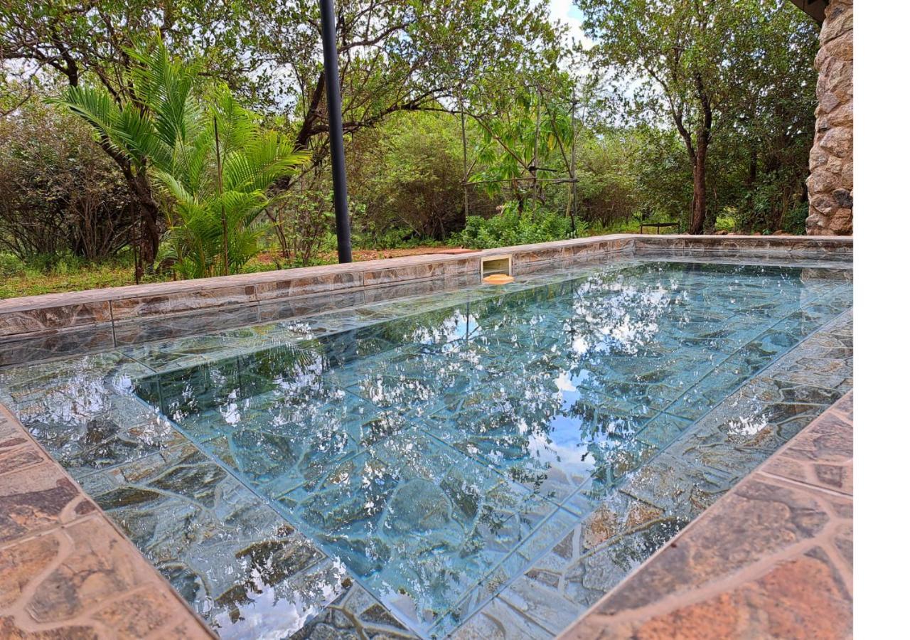 Lion King Holiday home *