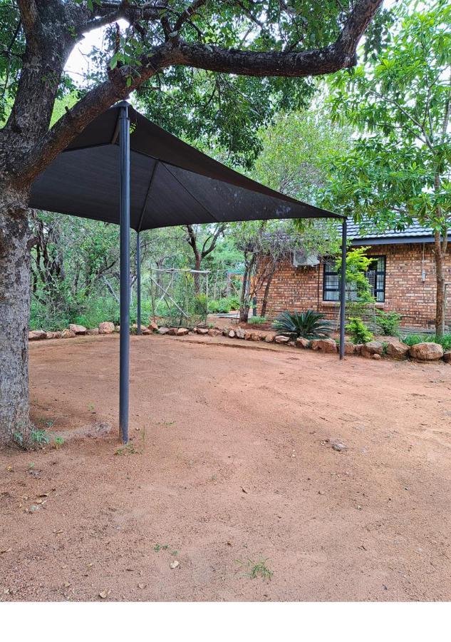 Lion King Holiday home